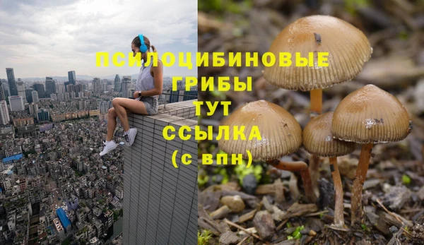 кристаллы Аркадак