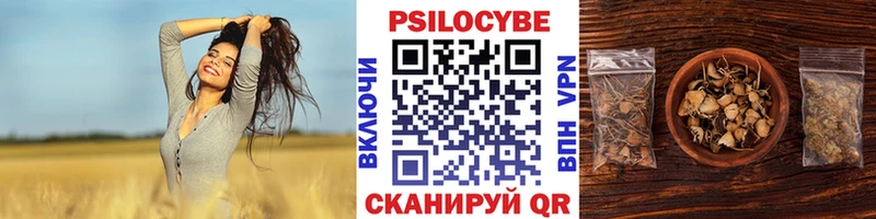 купить закладку Аткарск mega зеркало Псилоцибиновые грибы прущие грибы